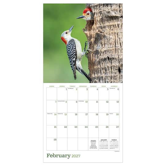 2027 Backyard Birds Wall Calendar